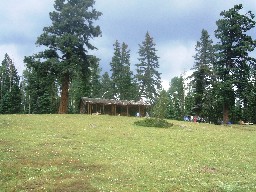 The Cabin at Crooked Creek